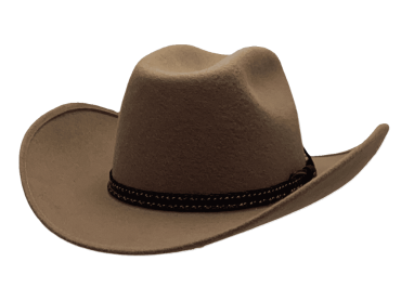 Westernhut Montana mit Bridée ✶ Canyon ✶
